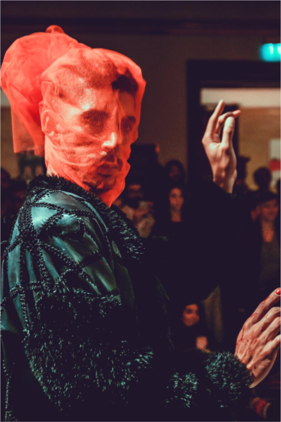 Main image The Crimson Veil